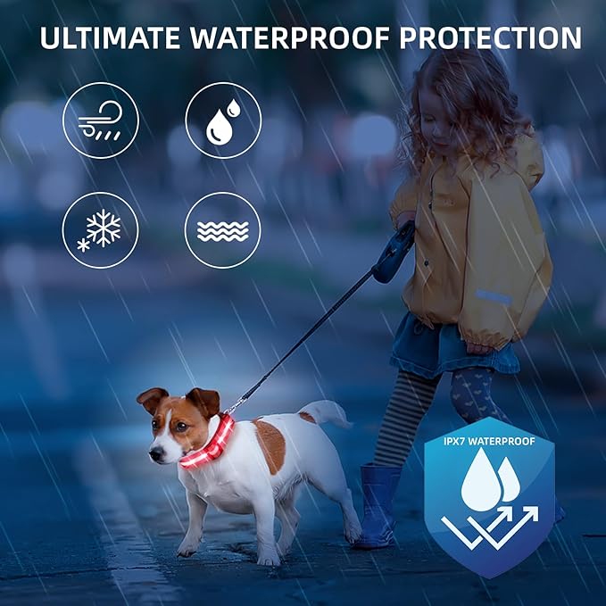 Super Bright LED Dog Collar - Fully Waterproof & Adjustable Glow Collar - USB-C Rechargeable for Night Walking, Safety - Flashing Lighted Collar for Dogs(Red,Medium)