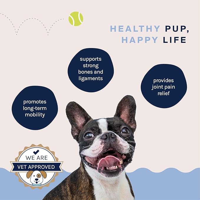 Good Trouble Pets Hip & Joint Supplement for Dogs - Bacon & Chicken Flavor, 30 Chews - Enhance Joint Health & Mobility for Your Canine Companion