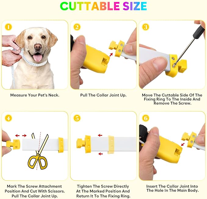 Flashseen LED Dog Collar, USB Rechargeable Glowing Lighted Up Collar, Cuttable Water-Resistant TPU Safety Collar Lights for Small Medium Large Dogs (Style 2)