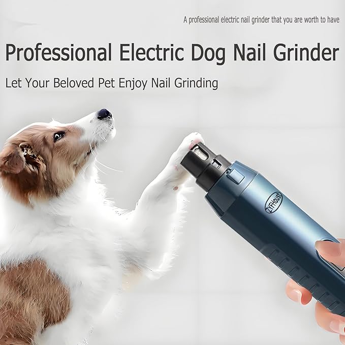 Dog Nail Trimmers, Professional Electric Dog Nail Grinder, Silent Groom Pro Nail Grinder Quiet with 2 LED Lights, 2 Grinding Wheels for Large Medium Small Dogs and Cat (Blue)