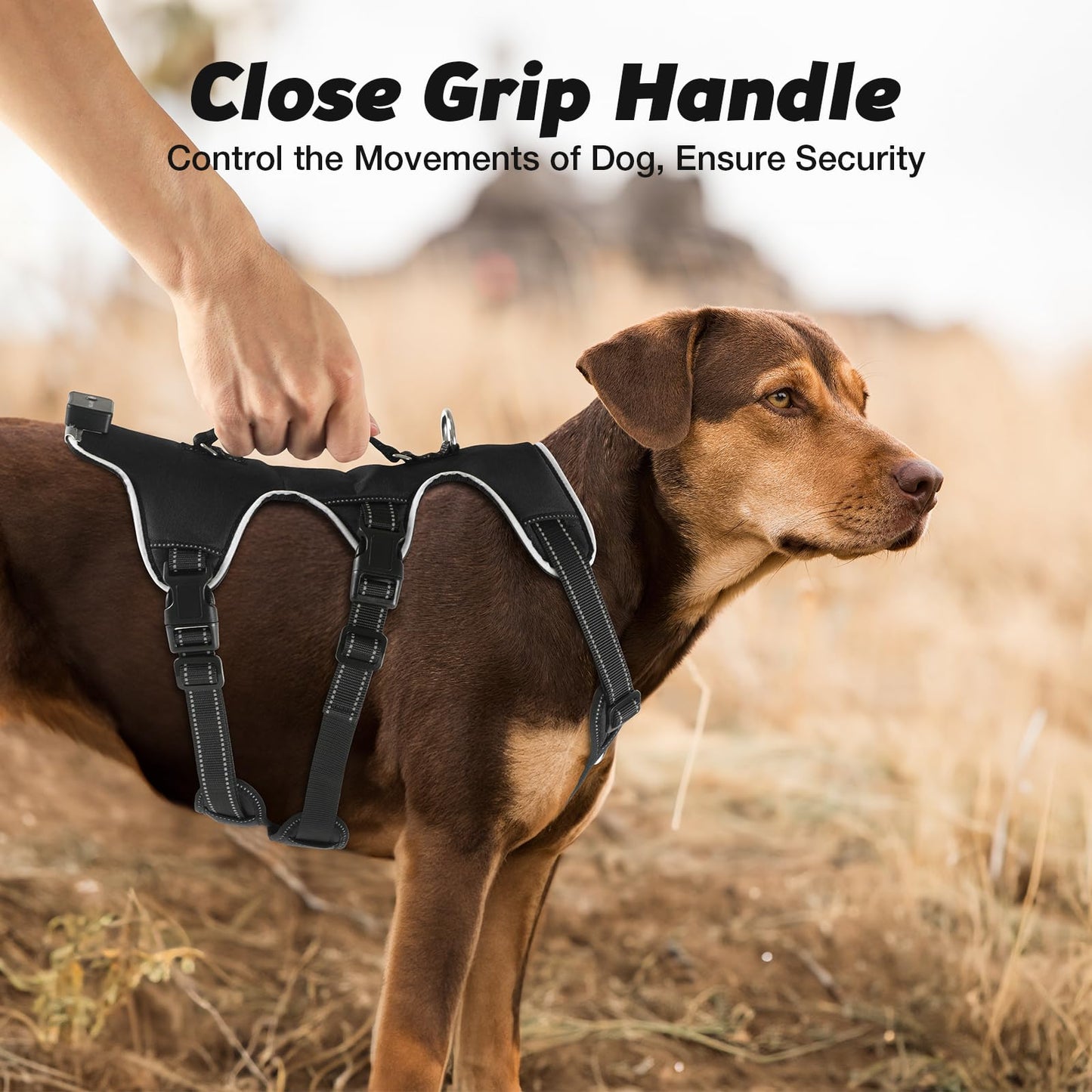 Light Up Dog Harness, 7 Color Changing LED Dog Harness, Rechargeable No Pull Dog Vest Harness, Adjustable Rainproof Pet Harness, Glowing Dog Vest Harness for Dogs Night Walking