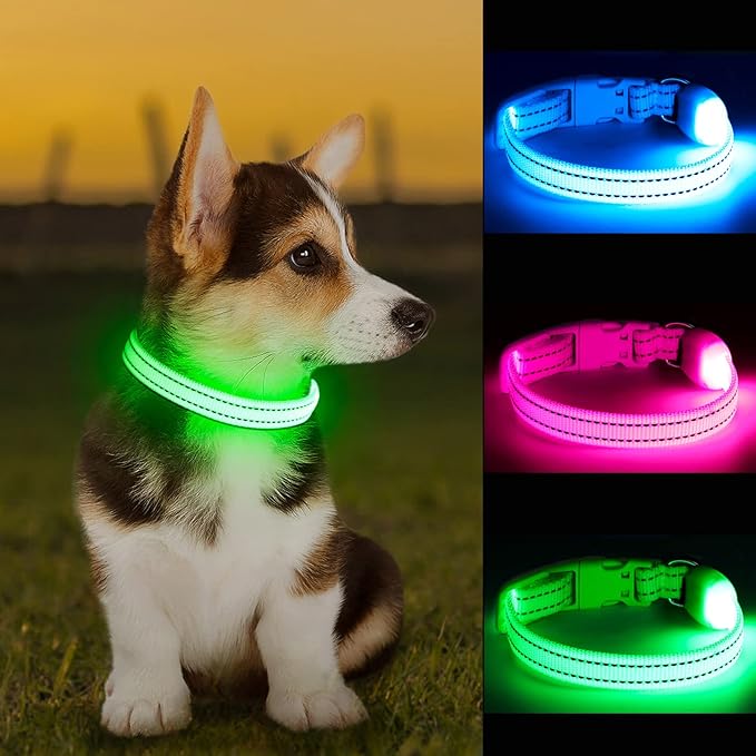 LED Dog Collar - Light Up, Adjustable, Rechargeable, Waterproof, Glow in Dark for Small Pets (S, Green)