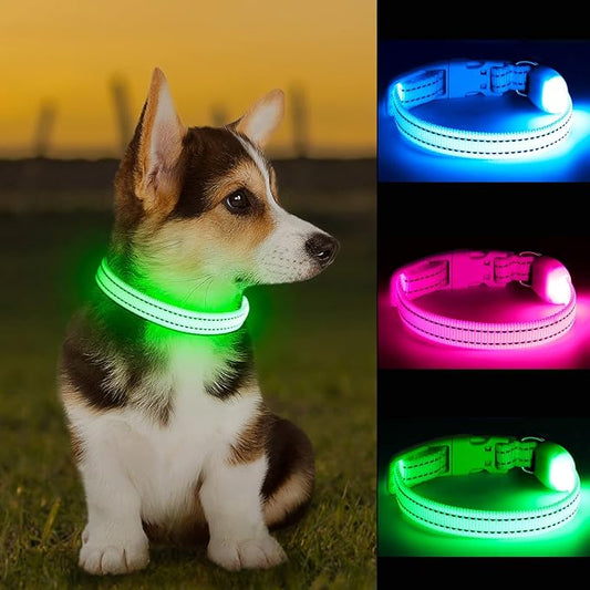 LED Dog Collar - Light Up, Adjustable, Rechargeable, Waterproof, Glow in Dark for Small Pets (S, Green)