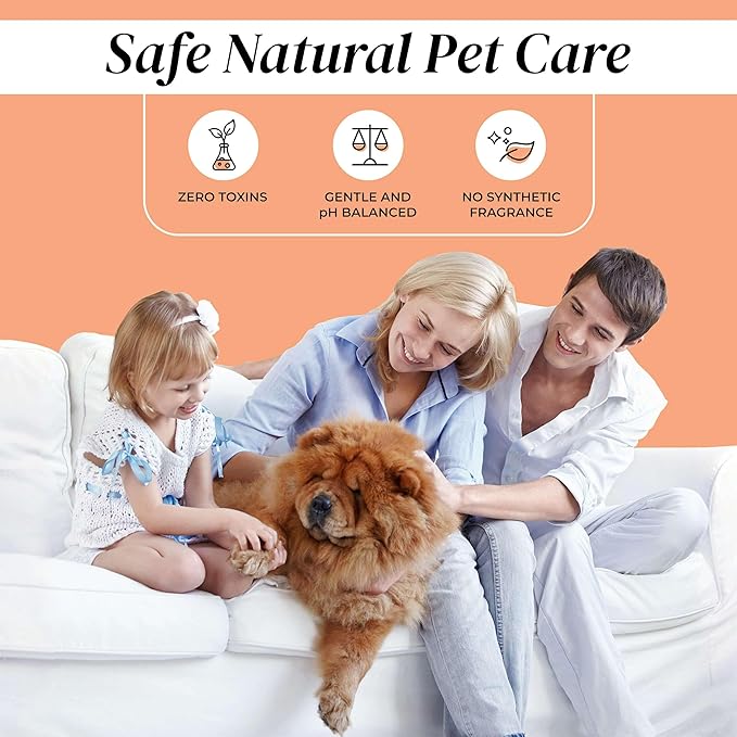 Foam Dog Paw Cleaner - 8.4 Fl Oz of Alcohol Free Foaming Paw Sanitizer Spritz - Made with Coconut, Aloe, Copaiba Oil, and Lemongrass Oil to Nourish and Clean Paws - Made in The USA