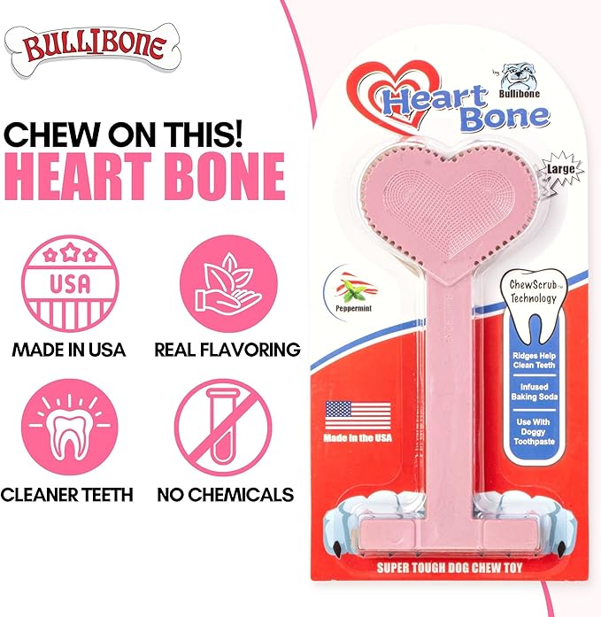 Bullibone Nylon Dog Chew Toy Nylon Bone - Improves Dental Hygiene, Easy to Grip Bottom, and Permeated with Flavor (Peppermint, Small - 2 Pack)