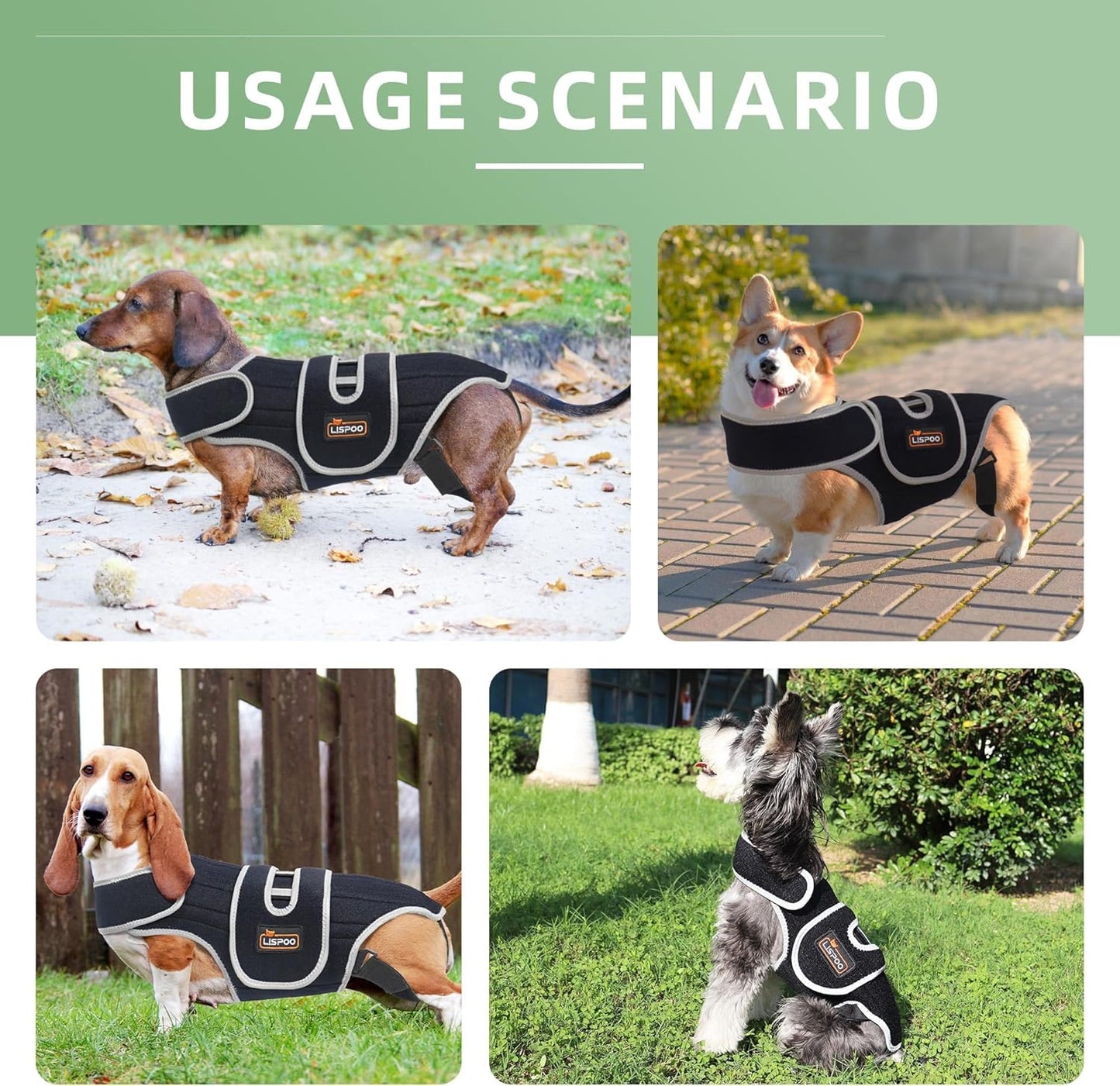 IVDD Dog Back Brace | Post-Surgery Support & Arthritis Relief | Vet-Recommended Spinal Support for Dogs | Breathable Fabric with Support Rods & Adjustable Straps (Size XL)