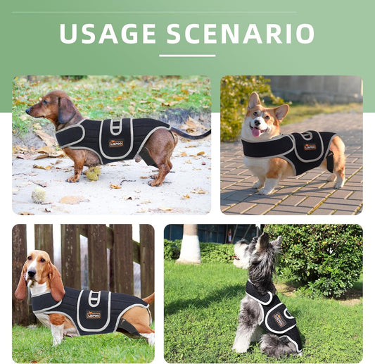 IVDD Dog Back Brace | Post-Surgery Support & Arthritis Relief | Vet-Recommended Spinal Support for Dogs | Breathable Fabric with Support Rods & Adjustable Straps (Size XL)
