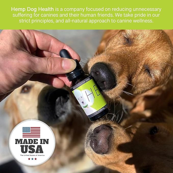 HEAL - Hemp Oil for Dogs - Comfort for Challenging Conditions & Neurological Well-Being Support - Add to Gums or Directly to Food - 100% Natural Drops