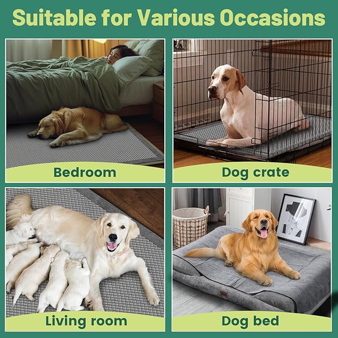 Gimars XXXL 31"x47" 40 Counts Odor-Control Charcoal Pee Pads for Dogs, Super-Absorbent and Leak-Proof Pet Training Pee Pads, Disposable Charcoal Puppy Pads Suitable for Dogs, Cats and Rabbits