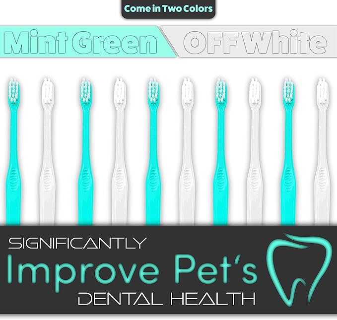 H&H Pets Toothbrush for Small Dogs & Cats - Soft and Extra Small Toothbrush Designed for Cats, Puppies, and XS Breed Dogs Like Teacups, Chihuahuas, Yorkshire, and Poodle, 4 Count Pack