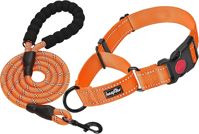 haapaw 2 Packs Martingale Dog Collar with Quick Release Buckle Reflective Dog Training Collars for Small Medium Large Dogs (Collar+Leash, L Neck 17"-21", Orange, 1+1 Packs)