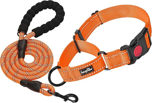 haapaw 2 Packs Martingale Dog Collar with Quick Release Buckle Reflective Dog Training Collars for Small Medium Large Dogs (Collar+Leash, L Neck 17"-21", Orange, 1+1 Packs)
