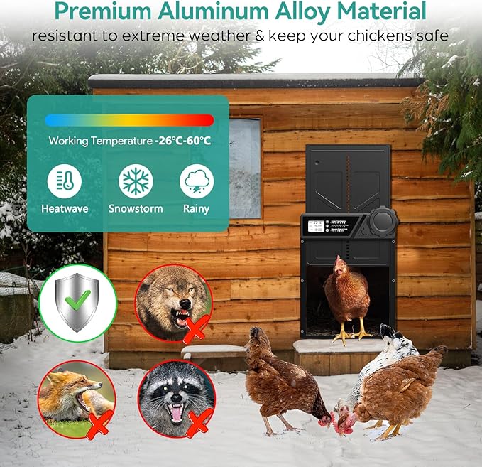 Large Automatic Chicken Coop Door, Aluminum Automatic Chicken Door with Manual & Timer Mode, Anti-Pinch & Battery Powered, LCD Display Chicken Door for Chickens, Ducks, and Geese