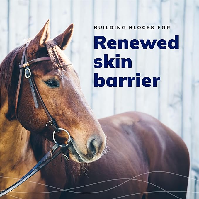 CeraSoothe® CHX Antiseptic Shampoo 16oz