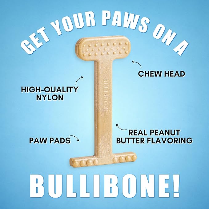 Bullibone Nylon Dog Chew Toy Nylon Bone - Improves Dental Hygiene, Easy to Grip Bottom, and Permeated with Flavor (Peanut Butter, Large - Single)