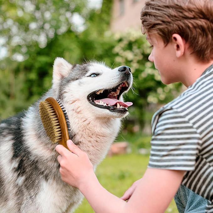TAKAVU Short Hair Dog & Cat Deshedding Brush - Double Sided Grooming Tool with Silicone Massage & Bristle Sides - Removes Loose Fur & Dirt - Wood Handle