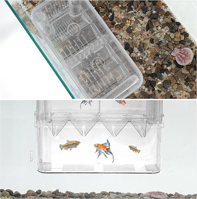 Fish Breeder Box, Easy-to-Use Breeder Tank Divider, Breeder Box for Fish Tank, Versatile Breeder System, XL, Clear, 1 Set