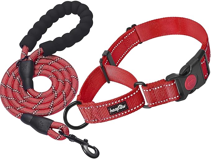 haapaw 2 Packs Martingale Dog Collar with Quick Release Buckle Reflective Dog Training Collars for Small Medium Large Dogs