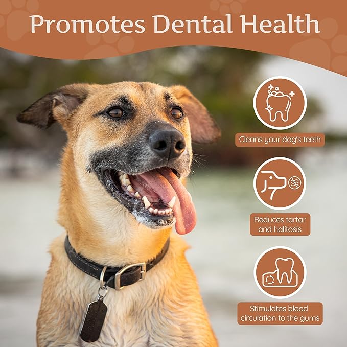 Wildfang® Coffee Wood Dog Chew, XL - Tough Chew Toys for Aggressive Chewers, Dog Teething Toys for Puppies, Training for Chewing Muscles, Coffee Tree Sticks for X-Large Dogs (Over 99 lbs)