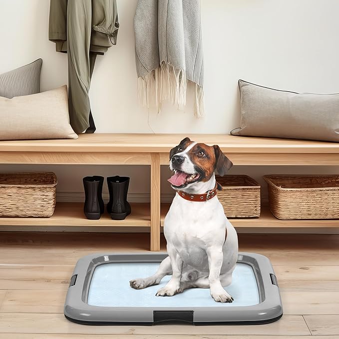 IRIS USA Pee Pad Holder - for Regular Sized Dog and Puppy Pee Pads, Secured Latches, Non-Skid Feet, High Polish Finish for Easy Cleaning, Leak Protection, Fits 22"x22" Pad or Larger, Black/Gray