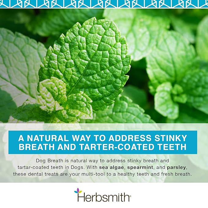 Herbsmith Dog Breath - Dog Dental Care Solution - Natural Dog Breath Freshener That Tackles Tartar - Dental Powder for Dogs - 75g Powder