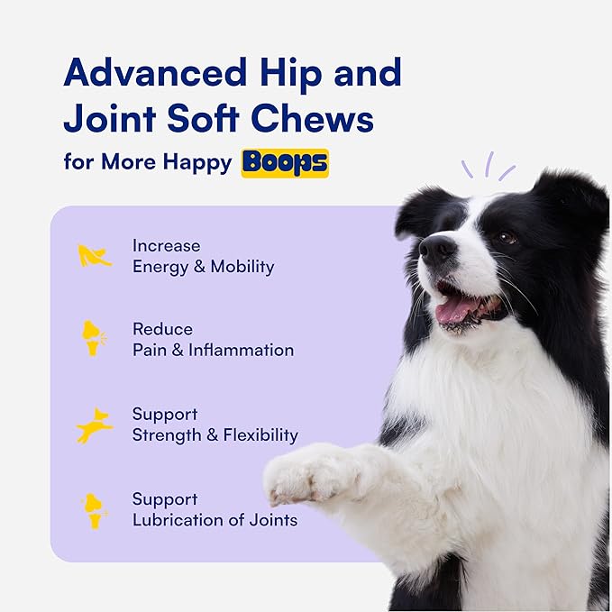 Advanced Hip & Joint Supplement for Dogs - 90 Soft Chews with Glucosamine, MSM, Chondroitin & Multivitamins - Helps Mobility, Flexibility & Arthritis Relief - Made with Pasture-Raised Chicken