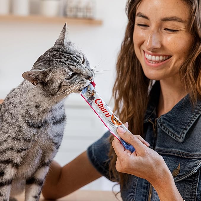 INABA Salmon Churu Cat Treats, Lickable, Squeezable Creamy Purée Cat Treat with Green Tea Extract & Taurine, 0.5 Ounces Each Tube, 40 Tubes, Salmon Variety Box