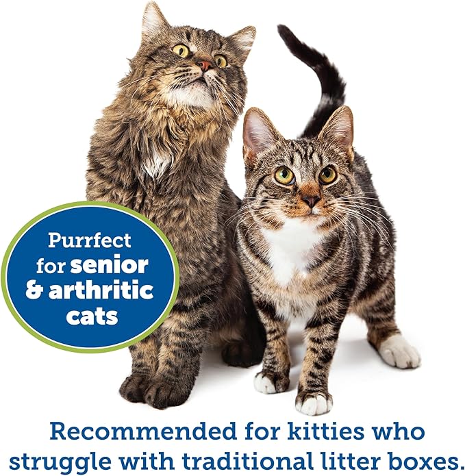 KittyGoHere Senior Cat Litter Box 1 Pack, Large Beach Sand Low Entrance Kitty Litter Box, Sized for Cats Comfort, Perfect for Senior and Arthritic Cats, Made in USA – Includes Long-Handle Jumbo Scoop