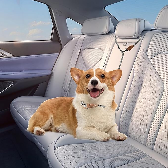 Mile High Life Hands Free Dog Leash, Crossbody Waist Leash with Genuine Leather Connection, Multifunctional Adjustable Slip Lead for Dog Walking Running (White, 7FT)