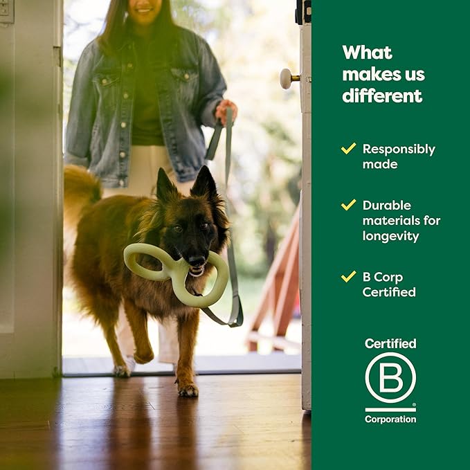 Earth Rated Tug of War Toy for Dogs and Puppies, Interactive Dog Pull Toys, Ergonomic Grip, Natural Rubber, Small, Green