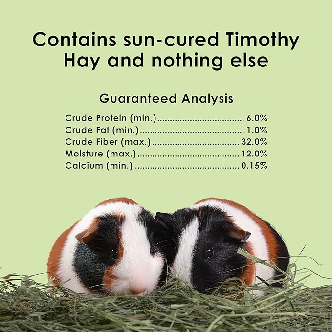 Kaytee Timothy Hay, High Fiber, Grown Specifically for Small Animals, Rabbits, Guinea Pigs, Chinchillas, 2 Pounds