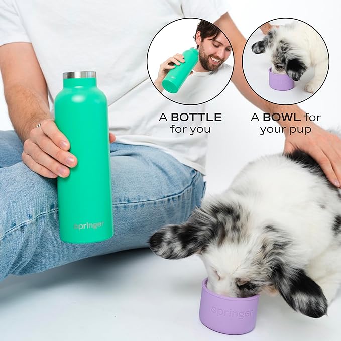 Springer Dog and Me 24oz Stainless Steel Insulated Water Bottle - Cold for 12+ Hours – Portable Dog Water Bottle with Integrated Travel Water Bowl for Dogs, Portable Dog Water Bottle – Lilac/Green