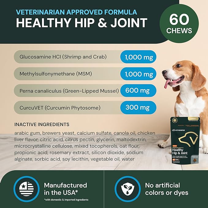 VetriScience Veterinary Strength Healthy Hip & Joint Chews - Joint Health Supplement for Dogs Over 60 Pounds - Supports Mobility & Flexibility in Large Dogs - 60 Count
