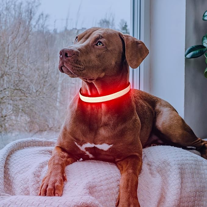 Flashseen LED Dog Collar, Light Up Dog Collar USB Rechargeable, Brightest Dog Lights for Night Walking, Adjustable Dog Collar Light for Dog Safety(Small, Ruby Red)
