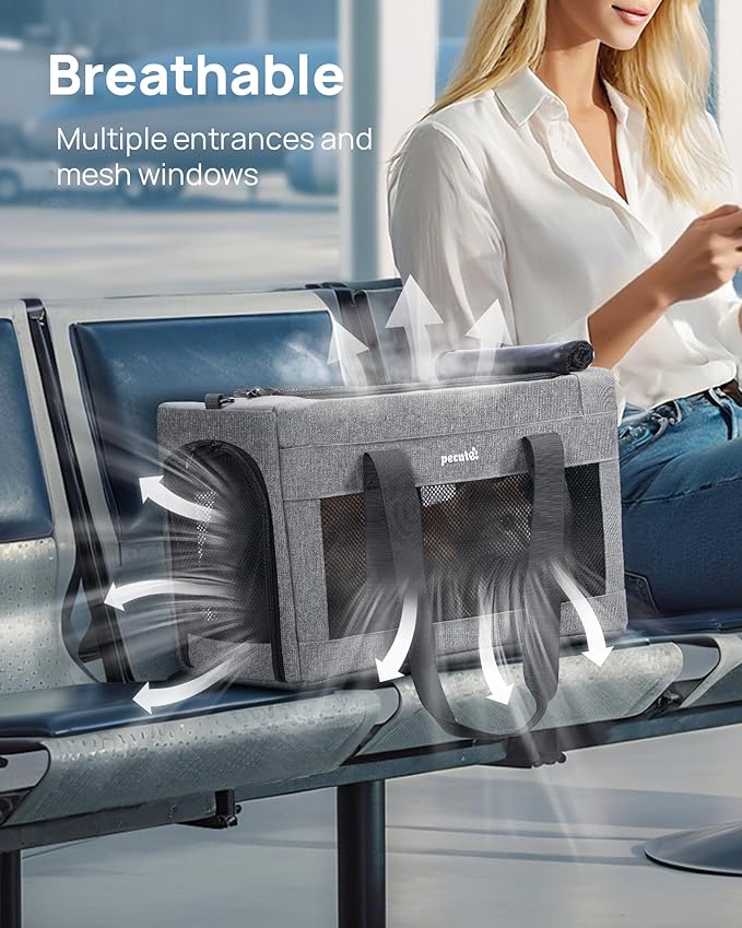 Airline Approved Cat Carrier, Pet Carrier Soft-Sided, Portable Dog Carrier with Stable Structure, TSA Approved Pet Carrier for Pets Less Than 12lbs, Cat Carrier Bag Suitable for Travel, Gray