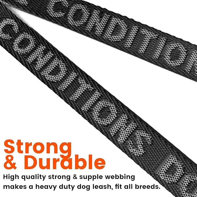 HOWGO Double Dog Leash, No Tangle 360° Swivel, Adjustable Two Padded Handles, Double Clip Dog Leash Coupler Splitter for Large and Medium Breeds (Orange, 4/5'' x 0.9 FT)