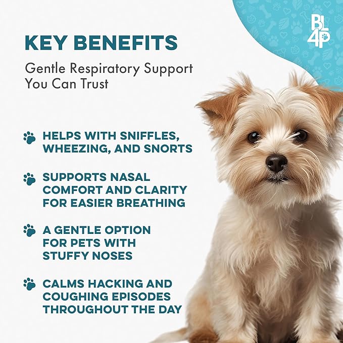 Kennel Cough Treatment & Dog Nasal Congestion Relief, Natural Dog Cough Suppressant & Cold Remedy, Breathe Easy Reduces Wheezing, Sneezing, Cold, Breathing and Respiratory Issues, 400 Small Pills