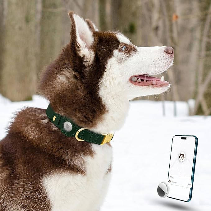 Leather Airtag Dog Collar - Soft Tracking Dog Collar with Apple AirTag Holder and Metal Buckle - Safety GPS Pet Collars for Small Medium Large Dogs Puppy Pink Red (Green, XL, 20"-25" Neck Fit)