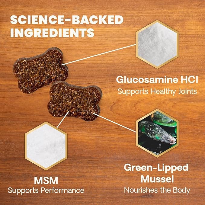 VetriScience Glycoflex 3 Hip and Joint Supplement for Dogs - Maximum Strength Dog Supplement with Glucosamine, MSM, Green Lipped Mussel & DMG - 3 Pack (120 Chews Each)