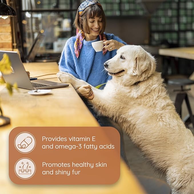 Wildfang® Olive Wood Chewing Sticks for Dogs, Medium - Tough Chew Toys for Aggressive Chewers, Puppy Chew Toys for Teething, Training for Chewing Muscles, Olive Wood Stick for Dog (33-55lbs), 3pack