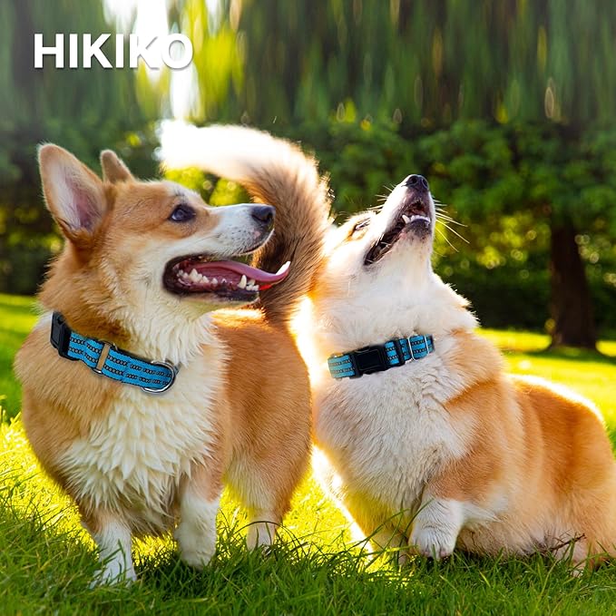 Hikiko Martingale Dog Collars Reflective Nylon Dog Collar with Quick Release Buckle Adjustable Training No Slip Dog Collar (Large, Light Blue)