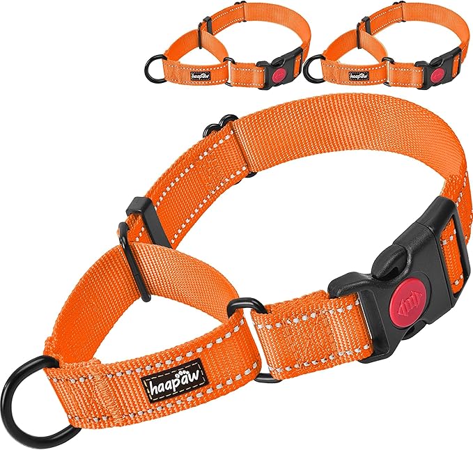 haapaw 2 Pack Martingale Dog Collar with Quick Release Buckle - Reflective, Training Collars for Small to Large Dogs (L Neck 17"-21", Orange, 1+1 Packs)