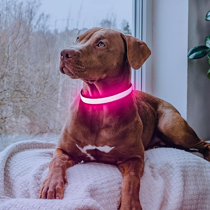Flashseen LED Dog Collar, USB Rechargeable Light Up Dog Collar Lights, Adjustable Comfortable Soft Mesh Safety Pet Collar for Small, Medium, Large Dogs(Medium, Candy Pink)