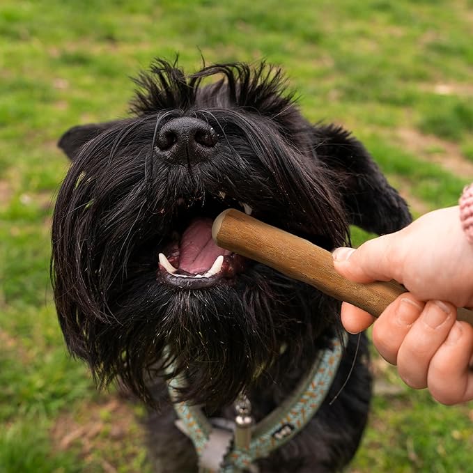 Wildfang® Coffee Wood Dog Chew, Medium - Tough Chew Toys for Aggressive Chewers, Dog Teething Toys for Puppies, Training for Chewing Muscles, Coffee Tree Sticks for Medium Dogs (33-55 lbs)