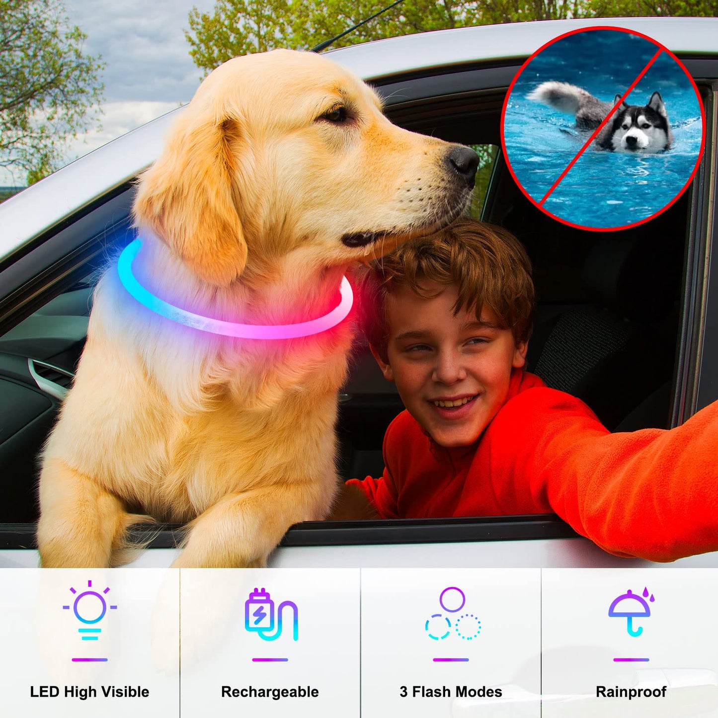Light Up Dog Collars, USB Rechargeable Dlitk LED Dog Collar 1 Count, TPU Cuttable Size Glow Collar for Dogs, Dog Collar Light, Please Do Not Use Fast Charging (Blue+Pink)