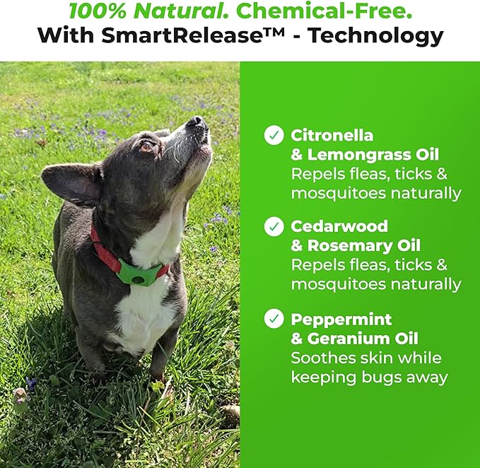 FurLife Black Dog Tag, Flea and Tick Prevention for Dogs - Waterproof Pendant for Collar, Safe for All Breeds