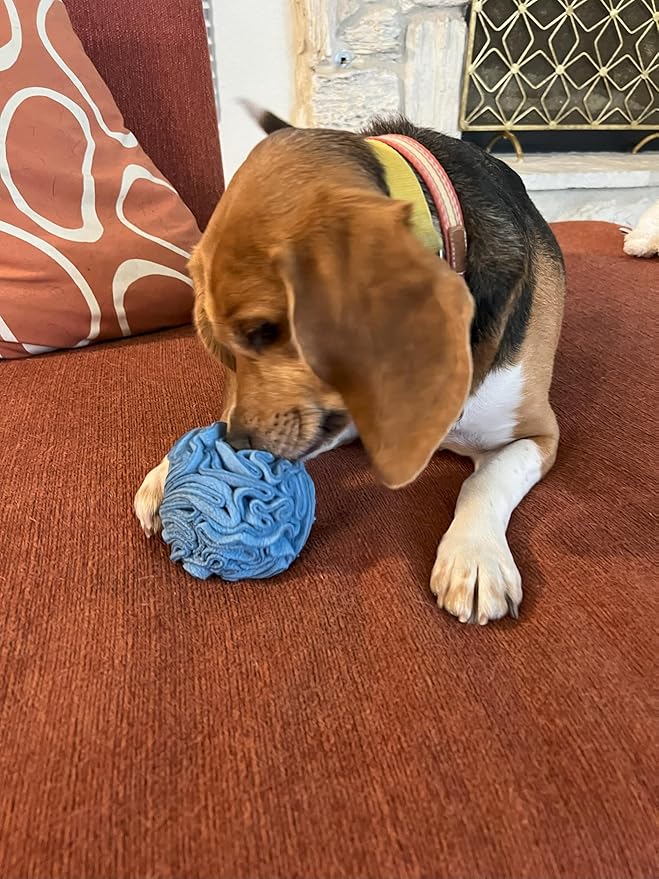 Puppy and Small Breed Snuffle Interactive Foraging Dog Puzzle Ball Toy Blue Small