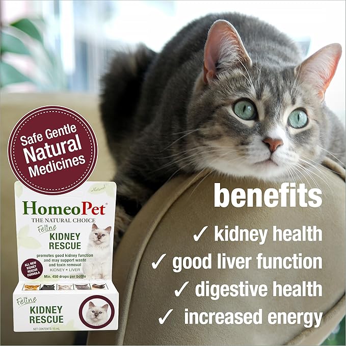 HomeoPet Feline Kidney Rescue, Safe and Natural Renal Supplement for Cats and Kittens, 15 Milliliters