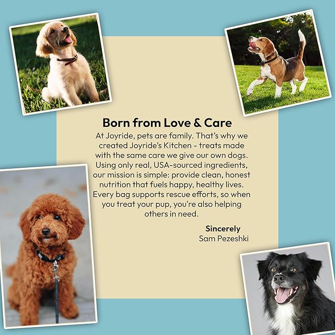 Joyride's Kitchen Freeze-Dried Chicken Liver Dog Treats, Single Ingredient, All-Natural, Protein-Rich Dog Training Treats, Made in USA - Perfect for Picky Eaters, Supports Rescue Dogs, Pack of 3