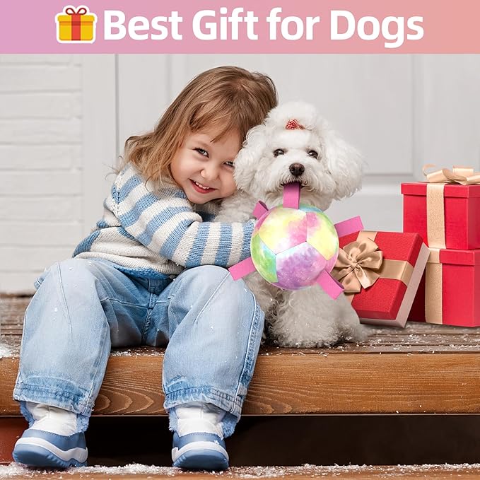 QDAN Dog Toys Soccer Ball with Straps, Durable Dog Balls for Tug of War, Puppy Birthday Gifts, Dogs Water Toy Small Dogs-Rainbow（5 Inch）